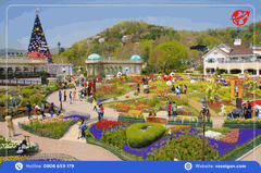 Tour Hàn Quốc: Seoul - Nami - Everland 5 Ngày 5 Đêm từ Tp. HCM