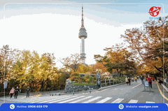 Tour Hàn Quốc: Seoul - Nami - Everland 5 Ngày 5 Đêm từ Tp. HCM