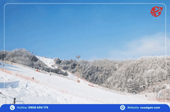 Tour Hàn Quốc: Seoul - Trượt tuyết - Lotte World 5 Ngày 5 Đêm
