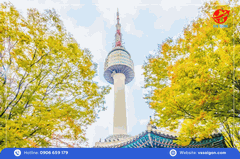 Tour Hàn Quốc: Seoul - Trượt tuyết - Lotte World 5 Ngày 5 Đêm