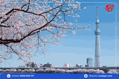 Du lịch Nhật Bản: Tour Osaka - Kyoto - Phú Sĩ - Tokyo 5 Ngày 5 Đêm từ Tp. HCM