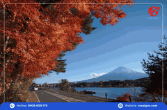 Du lịch Nhật Bản: TP.HCM - Osaka - Kyoto - Phú Sĩ - Tokyo - TP.HCM 5 Ngày 5 Đêm