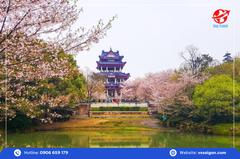 Tour Trung Quốc: Thượng Hải - Hàng Châu - Ô Trấn - Giang Tô - Vô Tích - Bắc Kinh 7 Ngày 7 Đêm từ Tp. Hồ Chí Minh