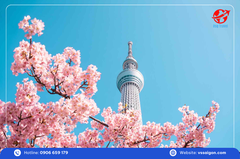 Du lịch Nhật Bản: Tour Tokyo - Phú Sĩ 4 Ngày 4 Đêm từ Tp. Hồ Chí Minh