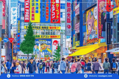 Du lịch Nhật Bản mùa thu: TOKYO – PHÚ SĨ - NAGOYA - KYOTO – OSAKA 5 Ngày 5 Đêm từ Tp.HCM