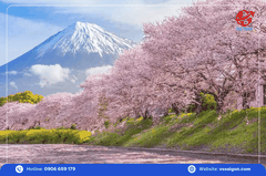 Du lịch Nhật Bản mùa thu: TOKYO – PHÚ SĨ - NAGOYA - KYOTO – OSAKA 5 Ngày 5 Đêm từ Tp.HCM