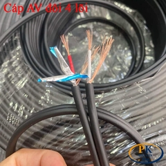 Dây cáp âm thanh RCA hoa sen DIY 2 ra 2 (R/L) cho loa, Amply dài 5M