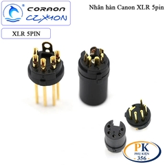 Nhân hàn âm tường Canon XLR 5 pin Coraon CZXYON Z-NC5MD-LX-B & Z-NC5FD-LX-B