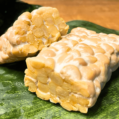 Tempeh đậu gà hữu cơ