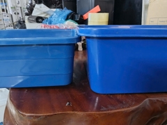 Khay Nhựa 20 Lít Nhiều Màu Nuôi Cá , Khay Ép Cá Kích Thước 50x36x16 cm