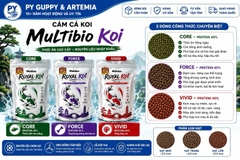 Cám Cá Koi Multibio Royal Koi Core | Force | Vivid 40-45% Đạm - Thức Ăn Cao Cấp Cho Cá Koi Hằng Ngày & Kích Màu