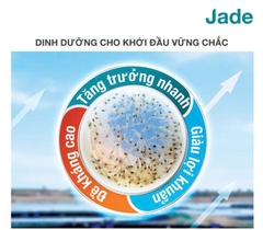 CÁM JADE SIZE 0 – 1 – 2 | THỨC ĂN CAO CẤP CHO CÁ CẢNH