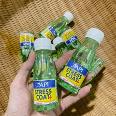 API Stress Coat – Thần dược dưỡng cá cảnh cực khỏe và an toàn