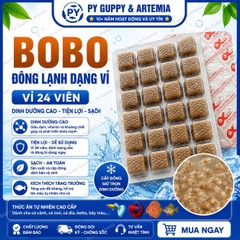 BOBO ĐÔNG LẠNH DẠNG VỈ 24 VIÊN CHO CÁ CẢNH