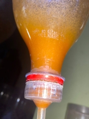 Trứng Artemia mỹ INVE cú xanh 2 * Sao( TLN 85% )