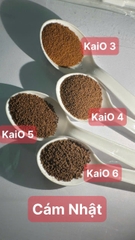 🐟 TỔNG HỢP TẤT CẢ CÁM KAIO 3 – 4 – 5 – 6 CAO CẤP CHO CÁ CẢNH🐟