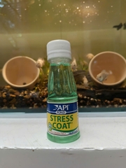 StressCoat Pond API 100mL – Khử Clo, Khử Chloramine, Bảo Vệ Lớp Nhầy, Giảm Stress Cho Cá Hồ Koi Và Cá Cảnh