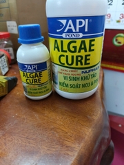 🌿 API Algae Cure 100mL | 500mL – Vi Sinh Kiểm Soát Tảo, Làm Trong Nước, Hỗ Trợ Giảm NO₃ & PO₄ Cho Hồ Cá