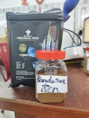 CÁM PANDORA – Siêu phẩm thức ăn cho cá bảy màu đến từ Malaysia