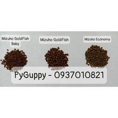 🐟 TỔNG HỢP TẤT CẢ CÁM MIZUHO 50G – 180G – 300G – 500G CAO CẤP CHO CÁ CẢNH