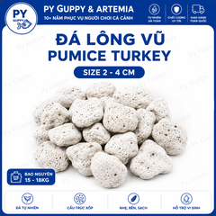 [Nguyên Bao 15Kg ( 20 Lít ) ] Nham Thạch Trắng Pumice Turkey Đá Lông Vũ Làm Vật Liệu Lọc Hồ Cá Giá Thể Vi Sinh Trồng Cây Thủy Sinh