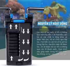 🐠 Lọc Treo Marine KY300 – KY400 – KY500 – KY600