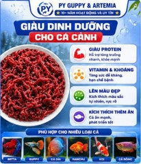 Trùn Huyết Đông Lạnh Dạng Viên Vỉ 24 Viên Cho Cá Cảnh - Thức ĂnTiện Lợi Giàu Dinh Dưỡng