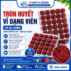 Trùn Huyết Đông Lạnh Dạng Viên Vỉ 24 Viên Cho Cá Cảnh - Thức ĂnTiện Lợi Giàu Dinh Dưỡng