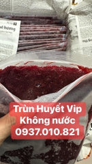 Trùn Huyết Chất Lượng Cao - Loại Đặc Trùn Không Pha nước