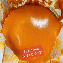 Trứng Artemia Mỹ White Mountain Great Salt Lake USA ( TLN 80% )