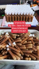 Ống Artemia Mỹ Ấp Sẵn Sạch Vỏ 99%
