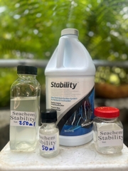 Vi sinh nước Seachem Stability 100ml, 250ml, 500ml, 1L, 2L men xử lý làm trong nước bể cá tép thủy sinh