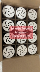 Sứ thanh Xoắn Bacteria House Porpoise kích thước 90 x 250 mm
