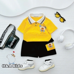 Bộ Thun Bé Trai, Set Polo Bé Trai Thun Cotton Áo In Hình Phối Quần Sọt Túi Nắp Cho Bé Trai 8kg -16kg, Lolafasi Shop
