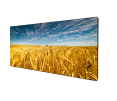 MW7750-MO-H1B-P5 outdoor LED MODULE UNIVIEW