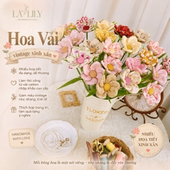 Hoa Vải 6 Cánh