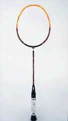 Vợt cầu lông IXE Warrior Dragon 660