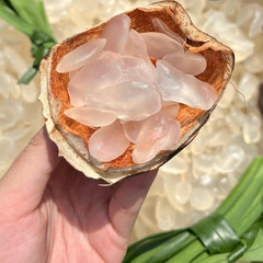 Thốt Nốt Sấy Dẻo Thái Lan 400gr - Món Ăn Vặt Dẻo Thơm, Ngọt Dịu