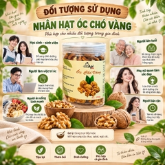 Nhân Hạt Óc Chó Vàng Tách Vỏ - Hạt Dinh Dưỡng Organic Tốt Cho Sức Khỏe