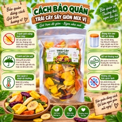 Trái Cây Sấy Giòn Mix Vị 500gr - Giòn Rụm, Đa Dạng Hương Vị
