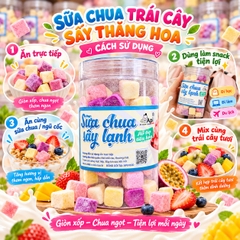 Sữa Chua Sấy Thăng Hoa Mix Vị Hoa Quả Thơm Ngon 200gr