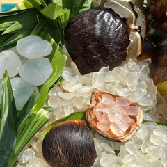 Thốt Nốt Sấy Dẻo Thái Lan 400gr - Món Ăn Vặt Dẻo Thơm, Ngọt Dịu