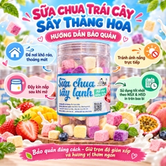 Sữa Chua Sấy Thăng Hoa Mix Vị Hoa Quả Thơm Ngon 200gr