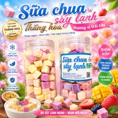 Sữa Chua Sấy Thăng Hoa Mix Vị Hoa Quả Thơm Ngon 200gr