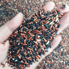 Bột Gạo Lức Mè Đen 500gr - Dinh Dưỡng Thuần Tự Nhiên, Khỏe Từ Bên Trong