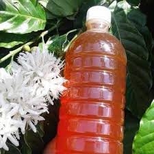 Mật Ong Hoa Cà Phê 1 Lít - Đặc Sản Tây Nguyên - Ăn Vặt Api Food