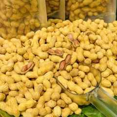 Đậu Phộng Sấy Nguyên Vỏ Vị Sữa – Béo Ngậy, Giòn Tan, Ăn Là Ghiền 500gr