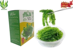 Rong Nho Tách Nước Ahichi 100gr ( Kèm Sốt Mè Rang ) - Ăn Vặt Api Food