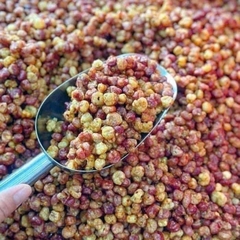 Ngô Nếp Mèo Rang Củi Điện Biên Giòn Rùm Rụm - Ăn Vặt Api Food