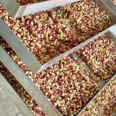 Ngô Nếp Mèo Rang Củi Điện Biên Giòn Rùm Rụm - Ăn Vặt Api Food